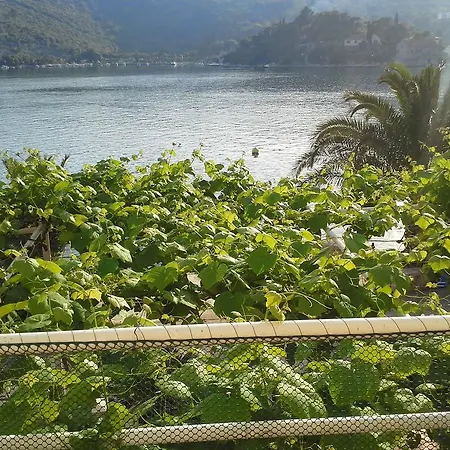 Kukuljica 3*