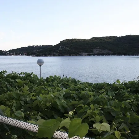 Pensión Kukuljica Zaton (Dubrovnik-Neretva)